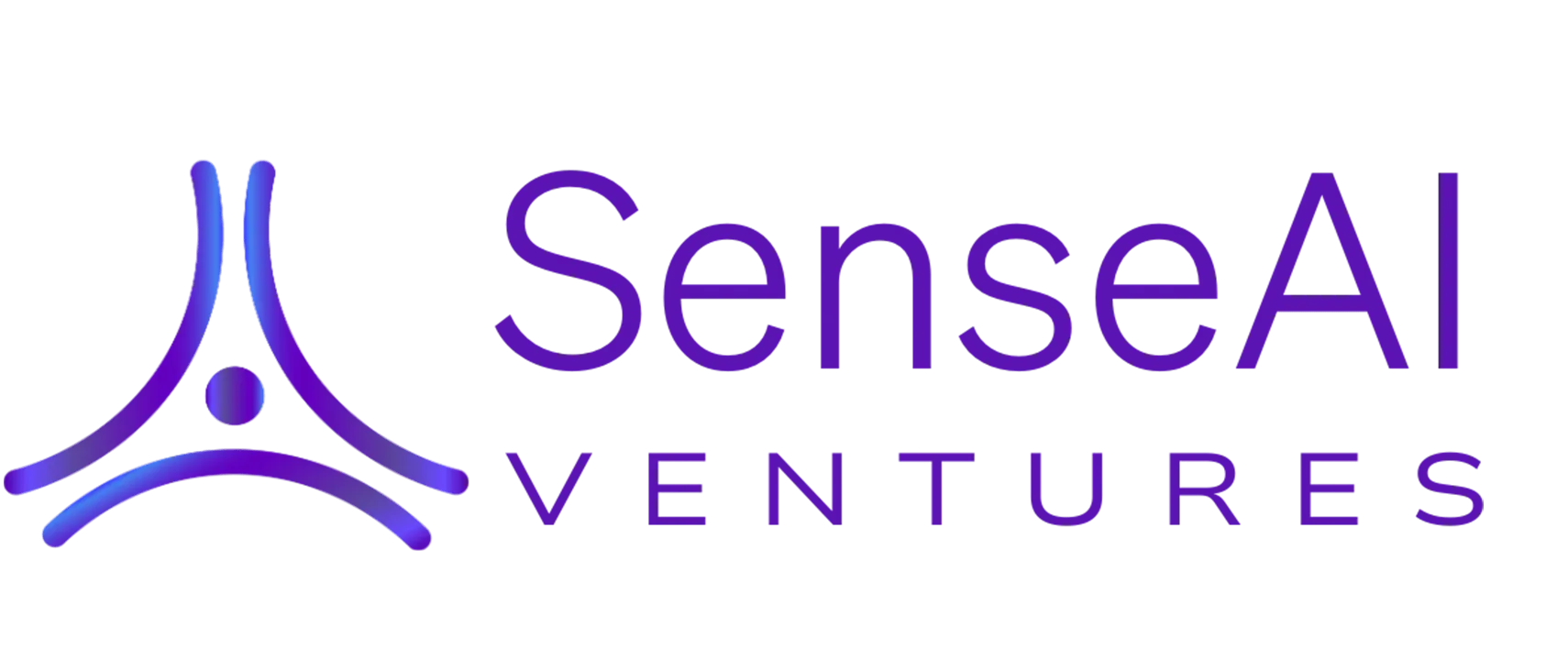 SenseAI Ventures